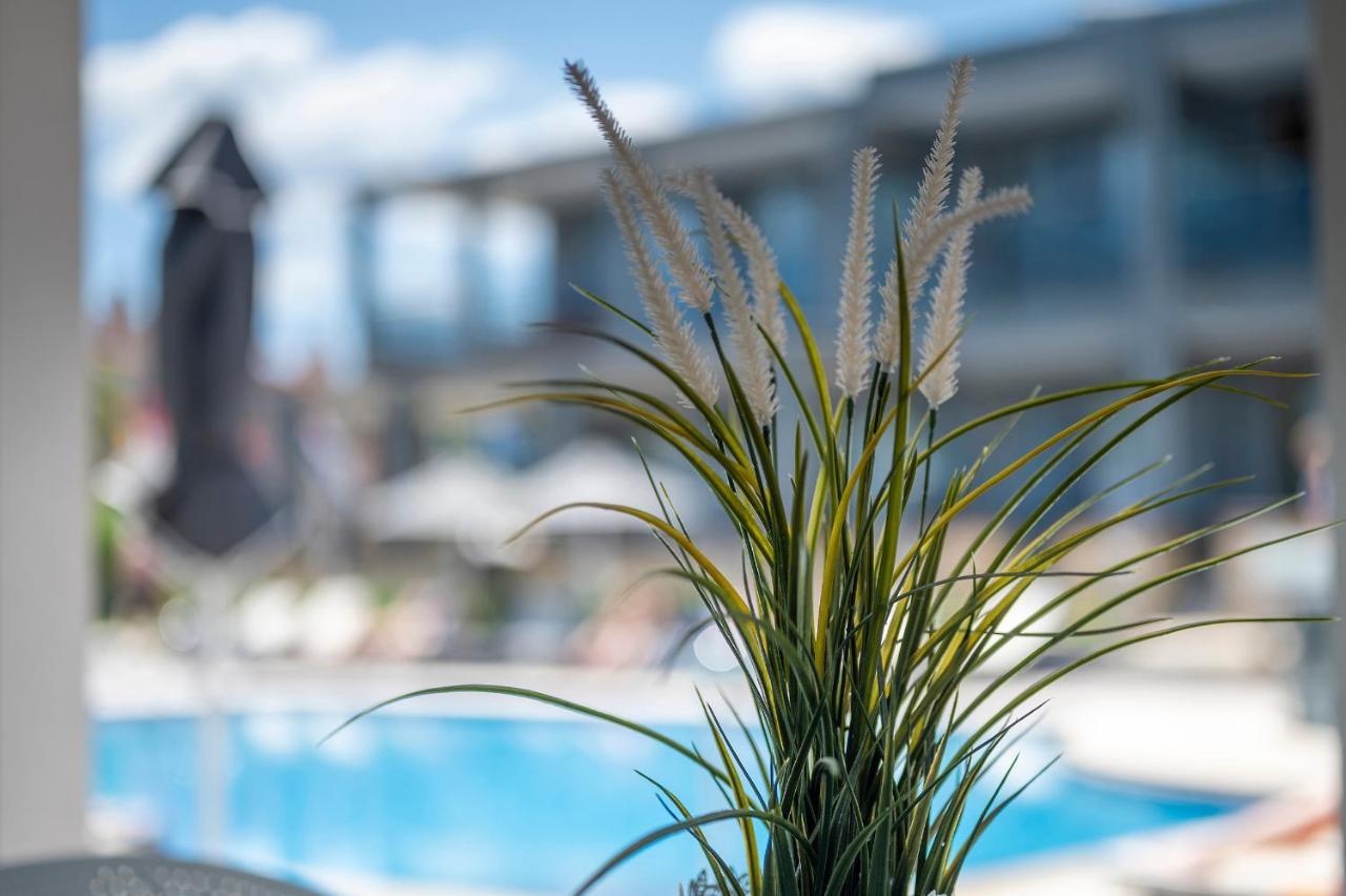 Dionysos Hotel & Suites Hanioti Exterior photo