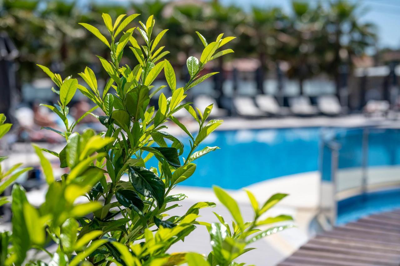 Dionysos Hotel & Suites Hanioti Exterior photo